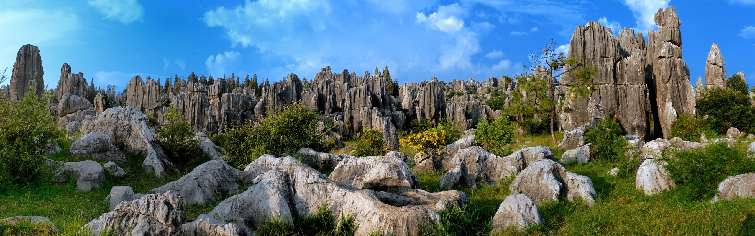 Kunming Travel Guide 2026: Best Times, Itinerary, Attractions