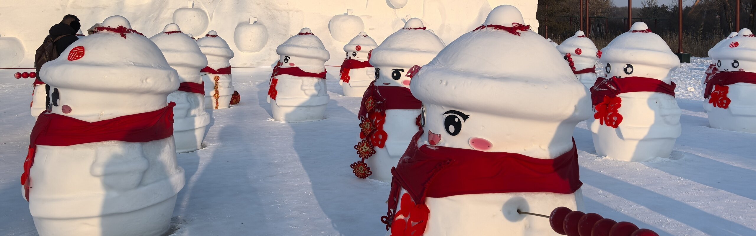 1-Day Harbin Ice and Snow Fairyland Tour