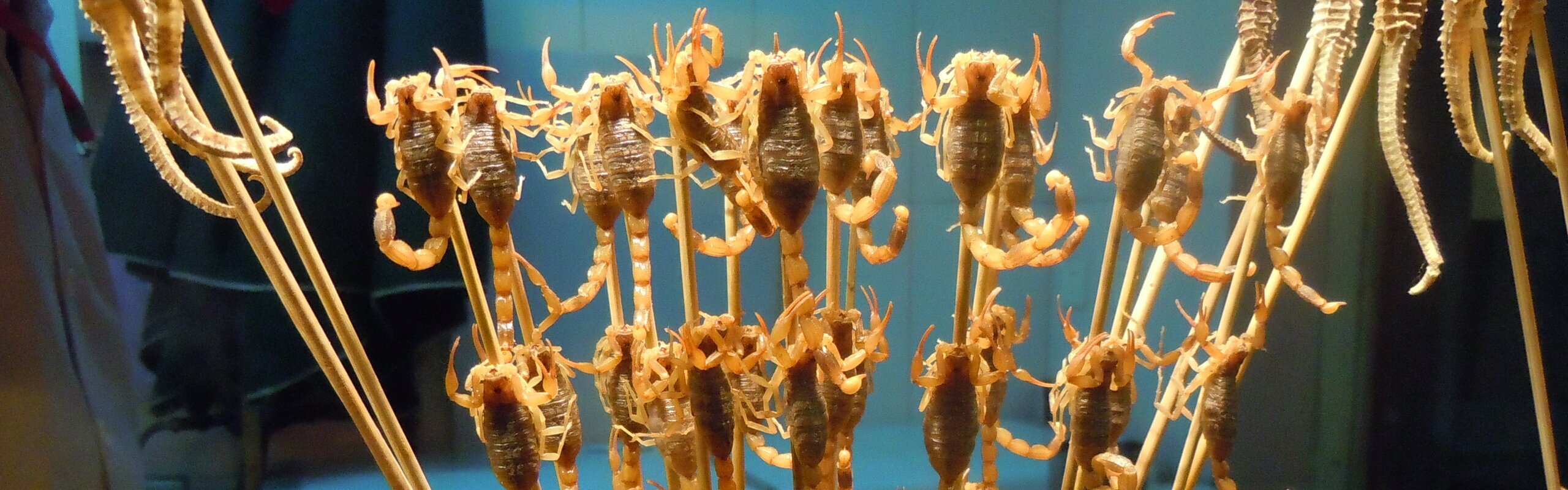 Unusual Ingredients in Chinese Cooking Which May Shock You        