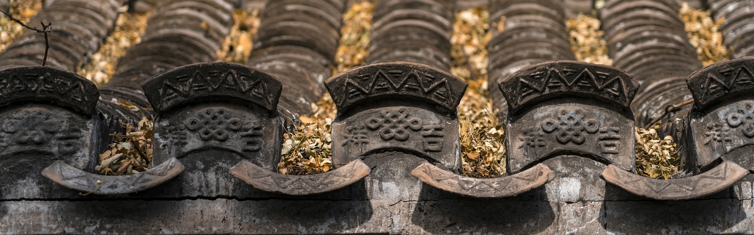 1-Day Beijing Hutong Tour