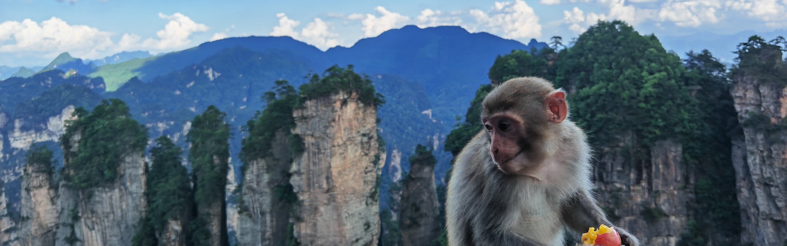 14-Day China Natural Wonders Family Tour