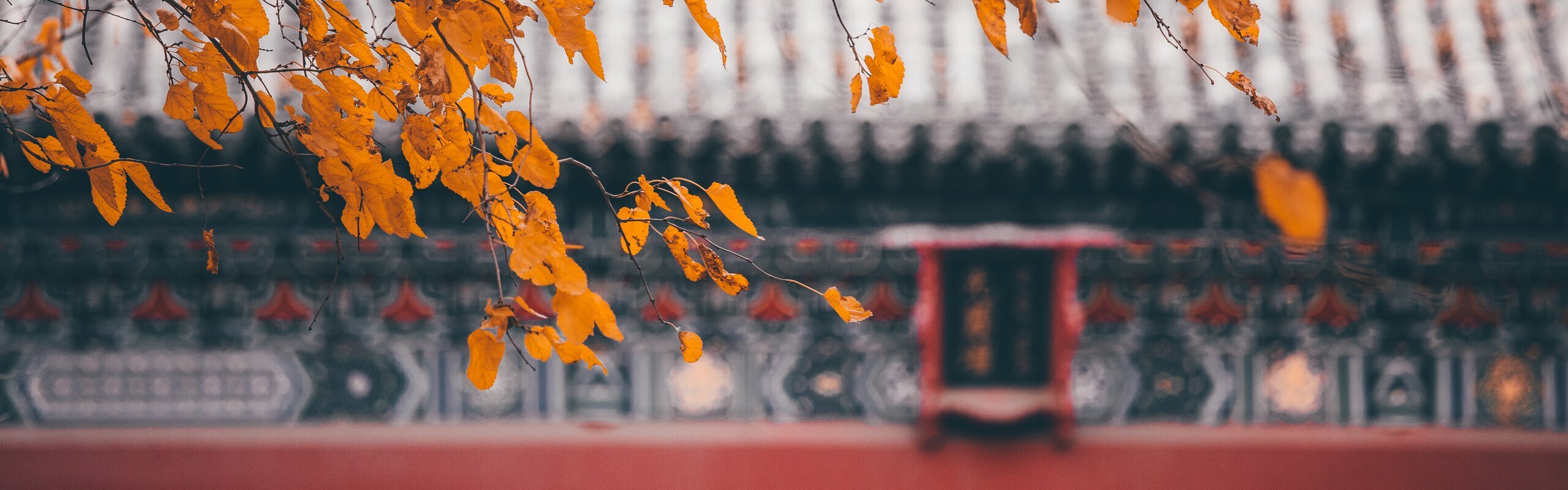 Best (& Worst) Times to Visit Beijing: Travel Tips for 12 Months