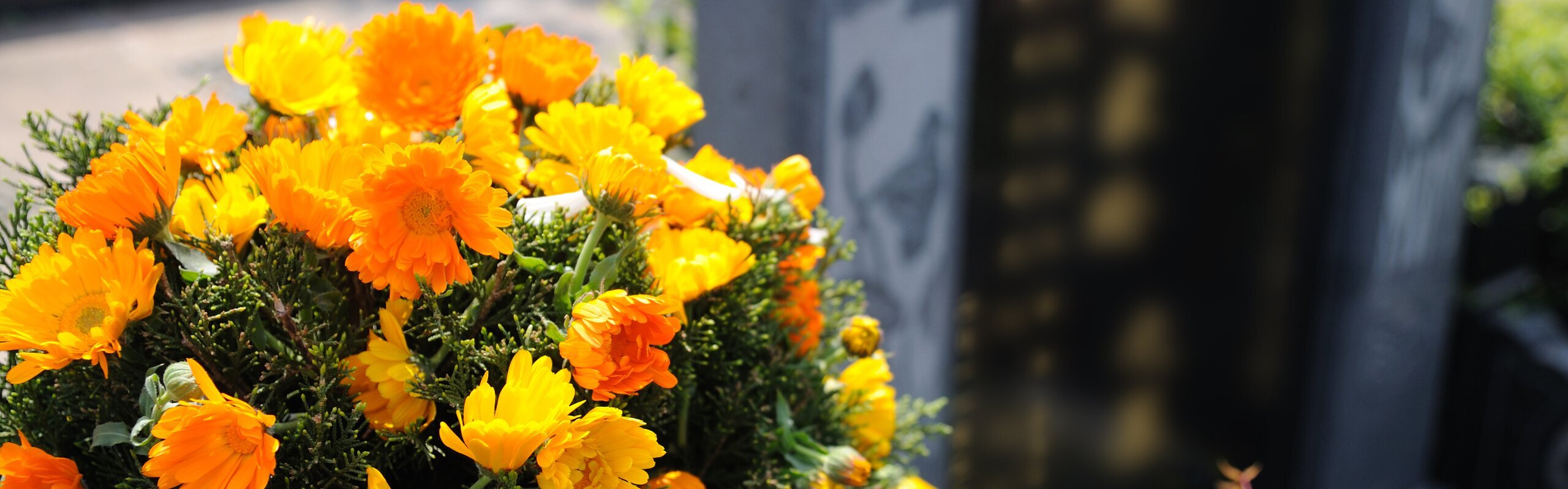 A Grave Day–the Culture of Death!