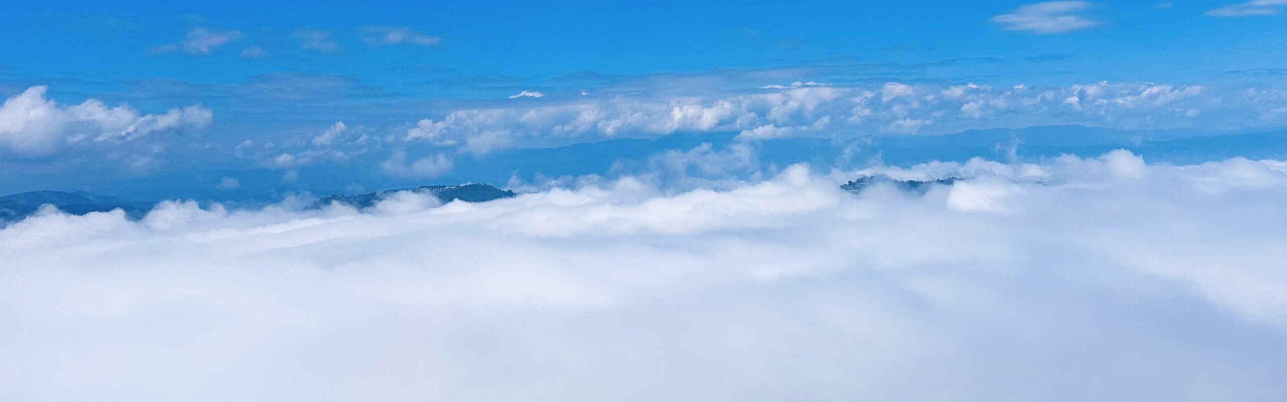 Jingmai Mountain in Yunnan: Ancient Tea Forests Above the Clouds
