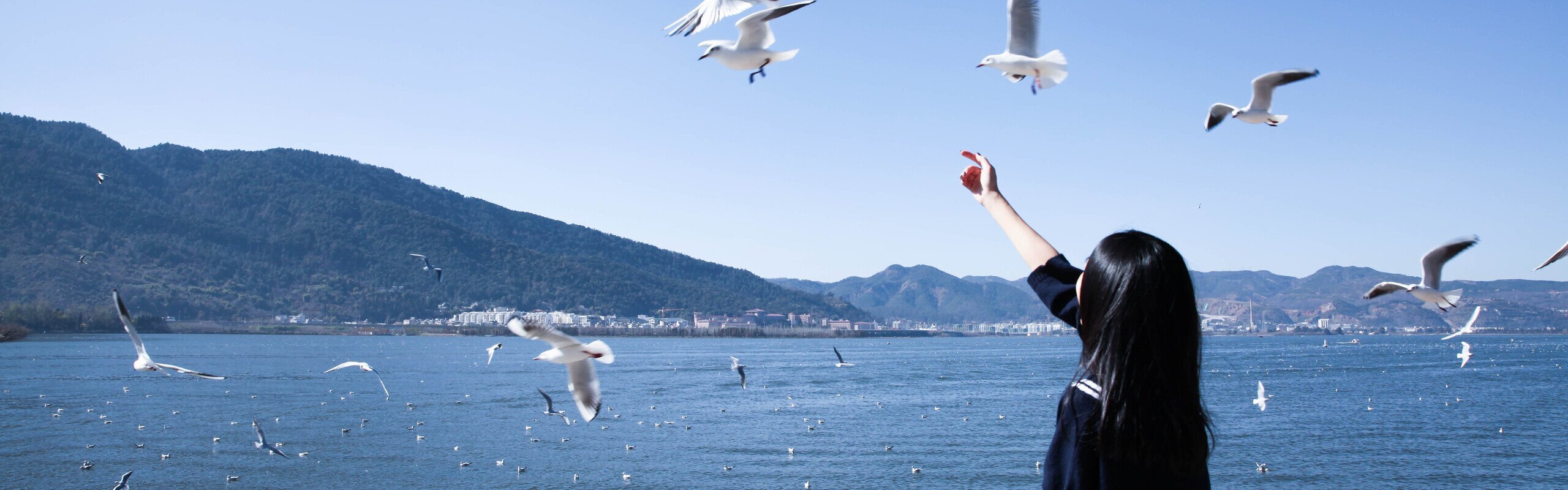 Yunnan Weather in February and the Top 5 Places to Go (2026)